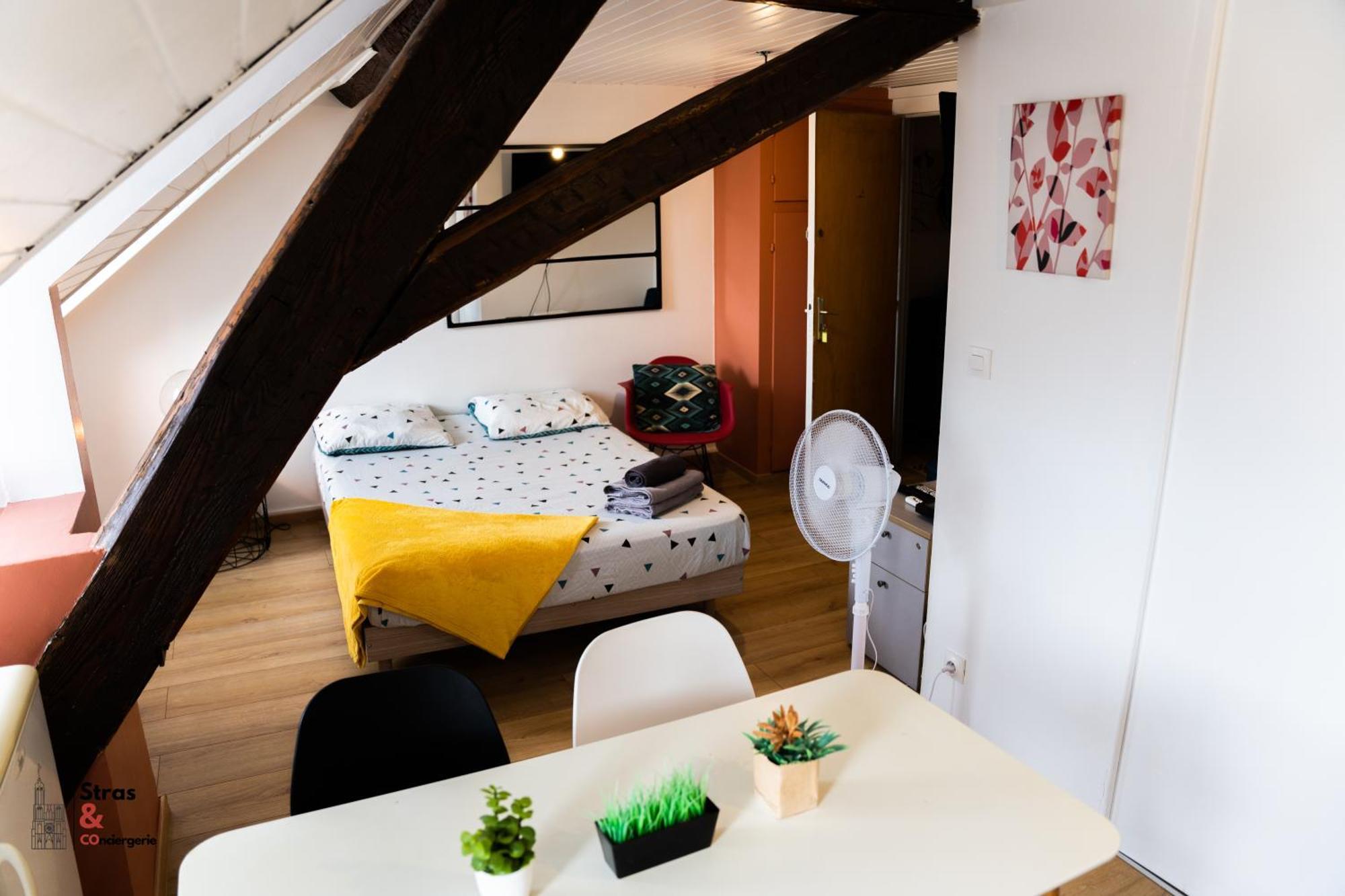 Lyam Apartment Strasbourg Ngoại thất bức ảnh